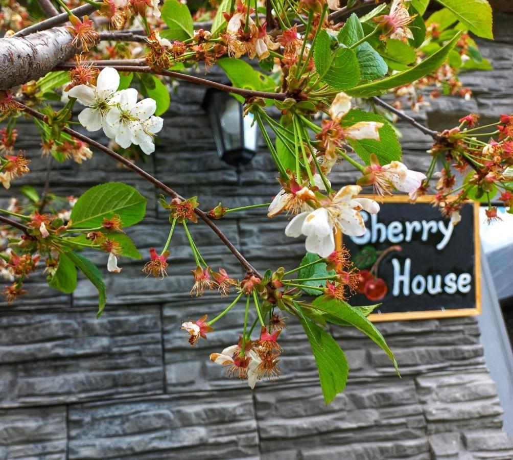 Cherry House Stepancminda Zewnętrze zdjęcie