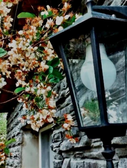 Cherry House Stepancminda Zewnętrze zdjęcie